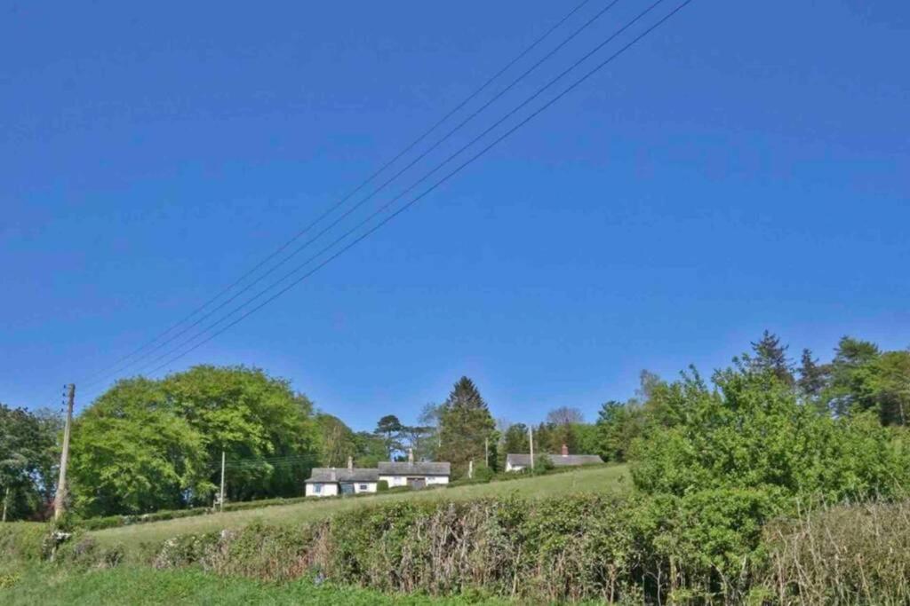 Hilltop Cottage Thropton Exteriér fotografie